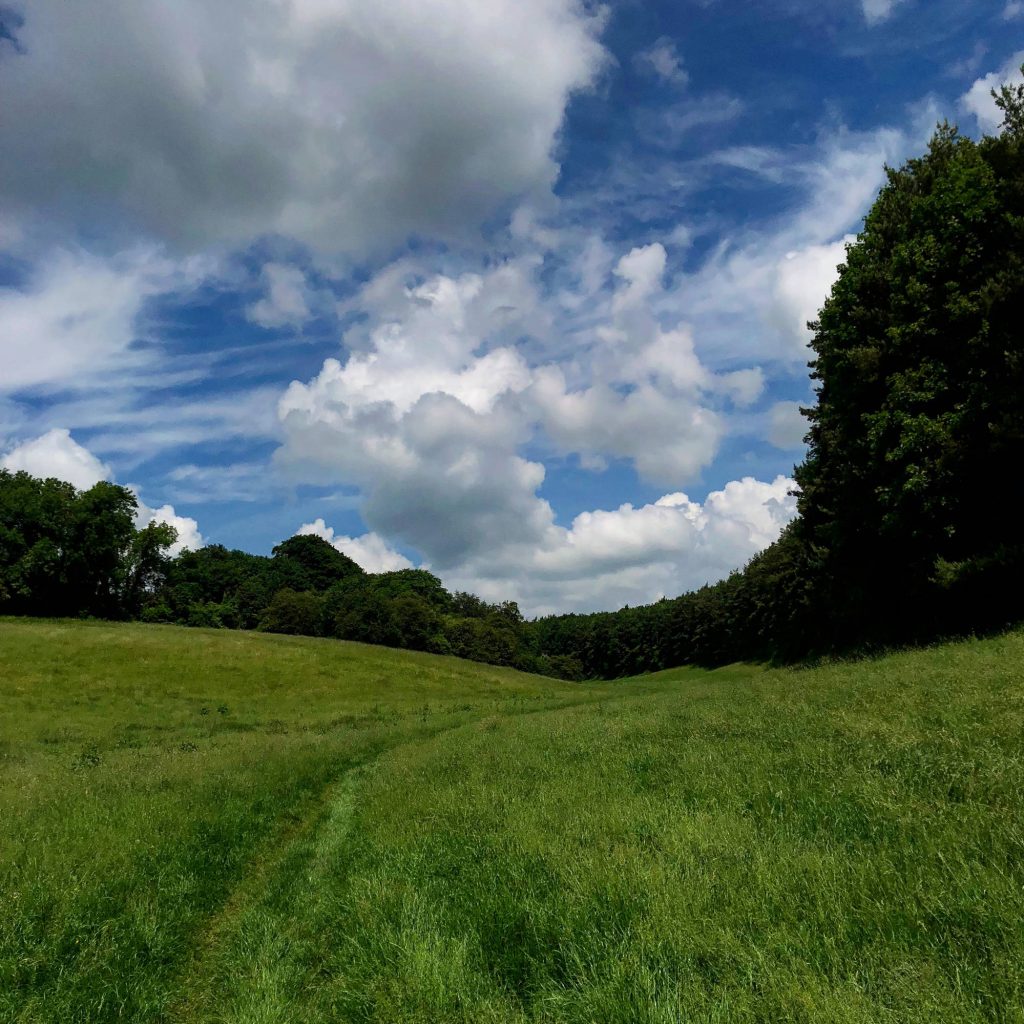 The Swan Inn - The Best Cotswold Pub Walks