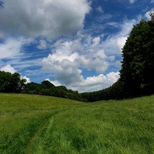 The Swan Inn - The Best Cotswold Pub Walks